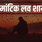 Love Shayari In Hindi - रोमांटिक लव शायरी का खजाना